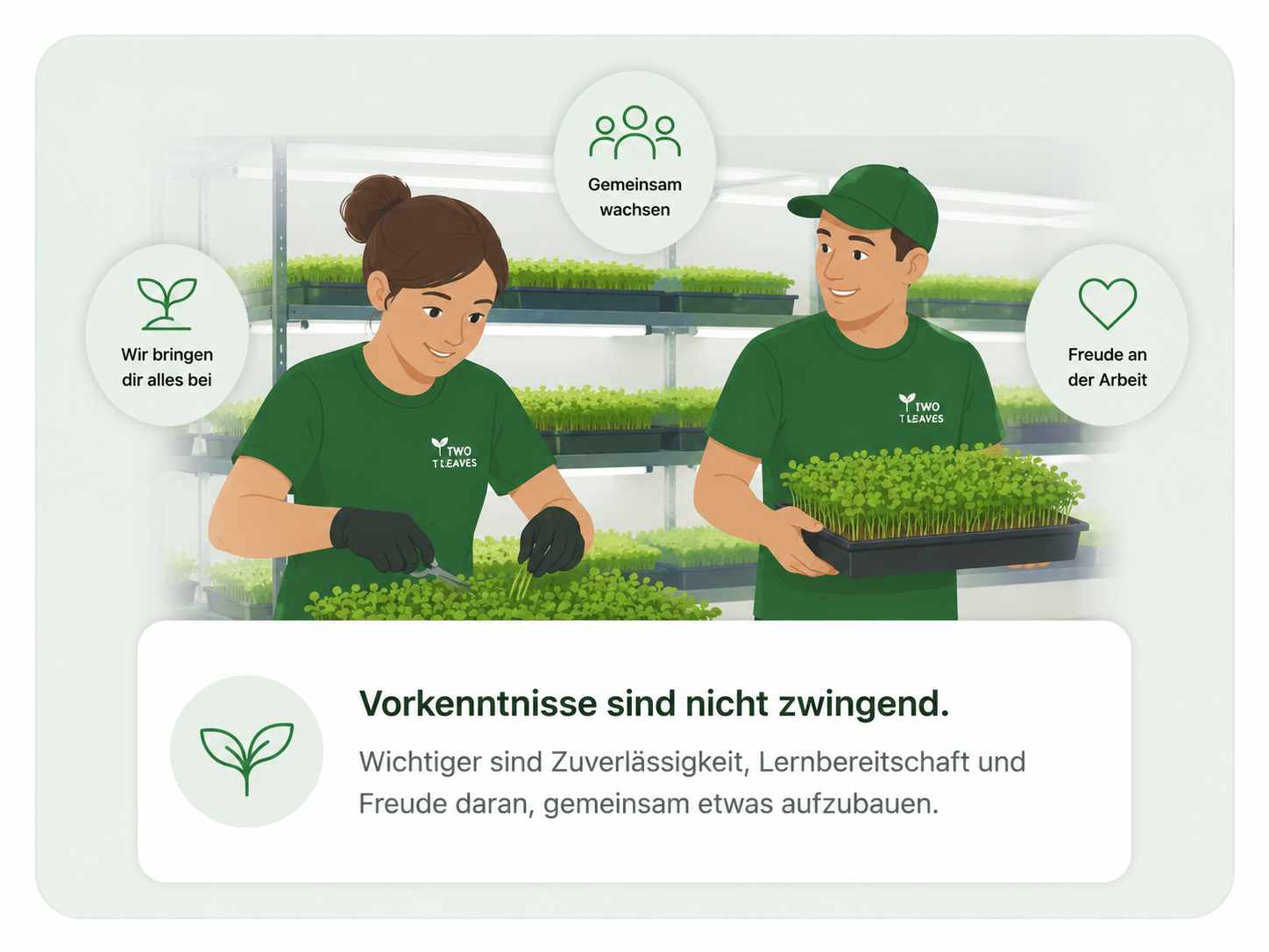 Zwei Mitarbeitende arbeiten gemeinsam mit Live Microgreens.